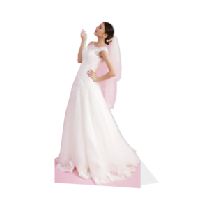 6 Servicios especiales